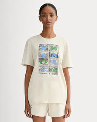 The Everlane x Parks Project Essential Organic Crew | Forged Iron / Birch / Granada Sky Blue / Green