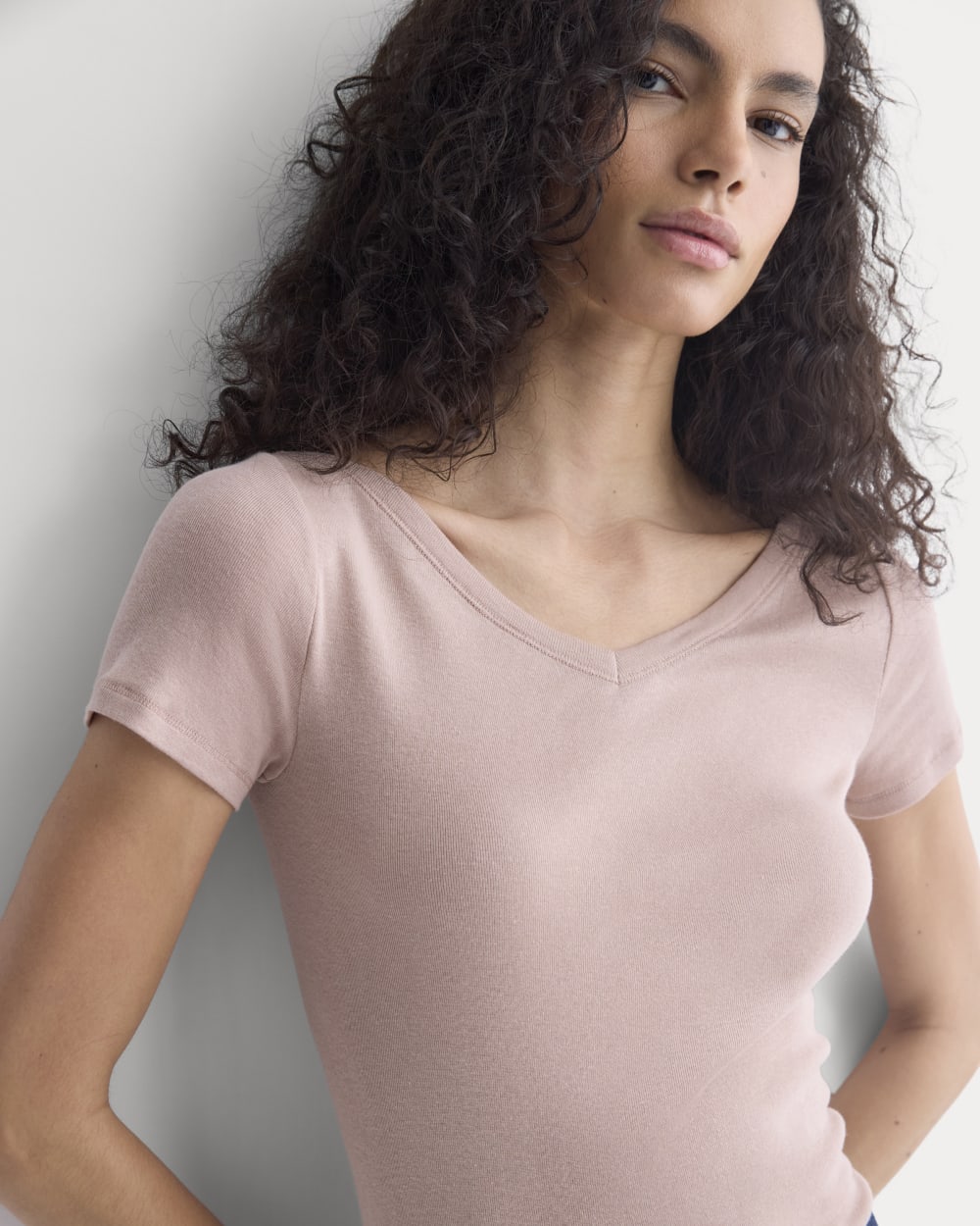 Tissue Short-Sleeve V-Neck Top | Dusty Rose