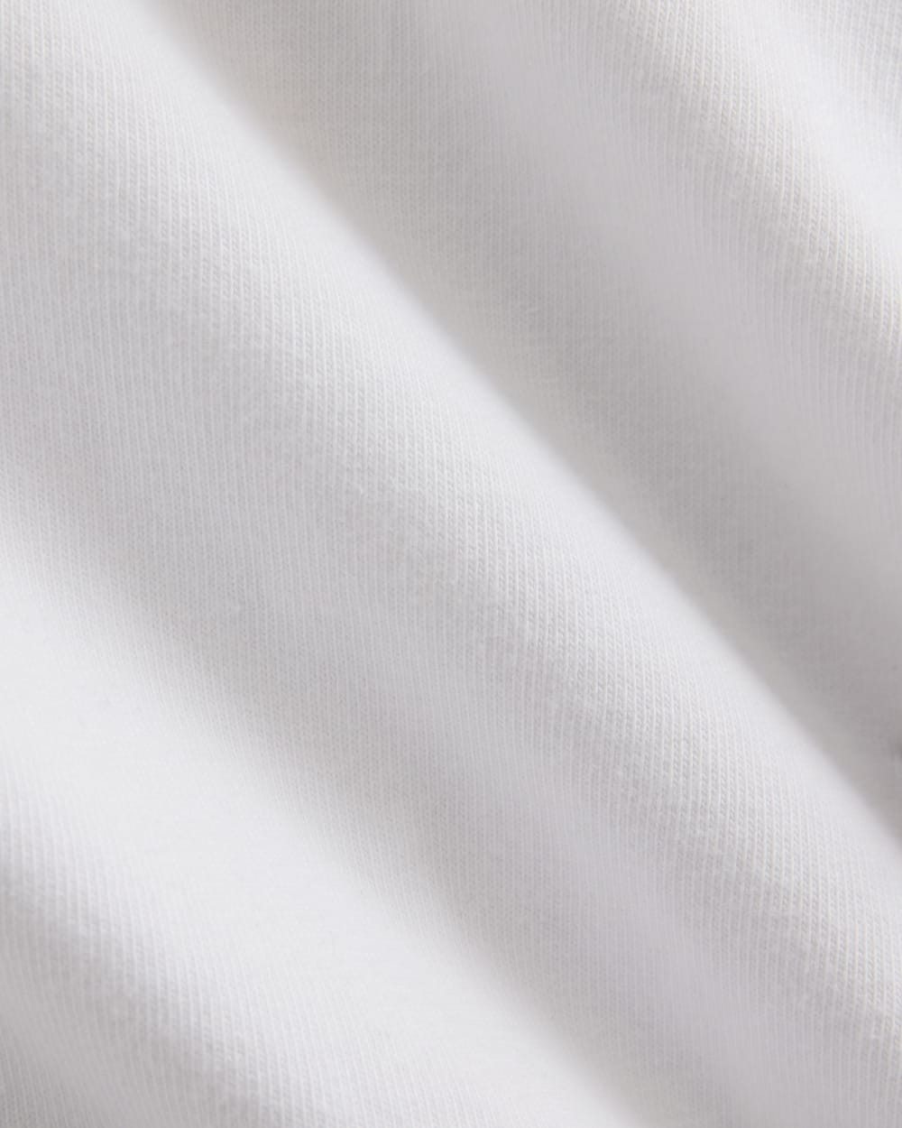 Everlane x Elena Bonvicini 73 Tee | Whitecap
