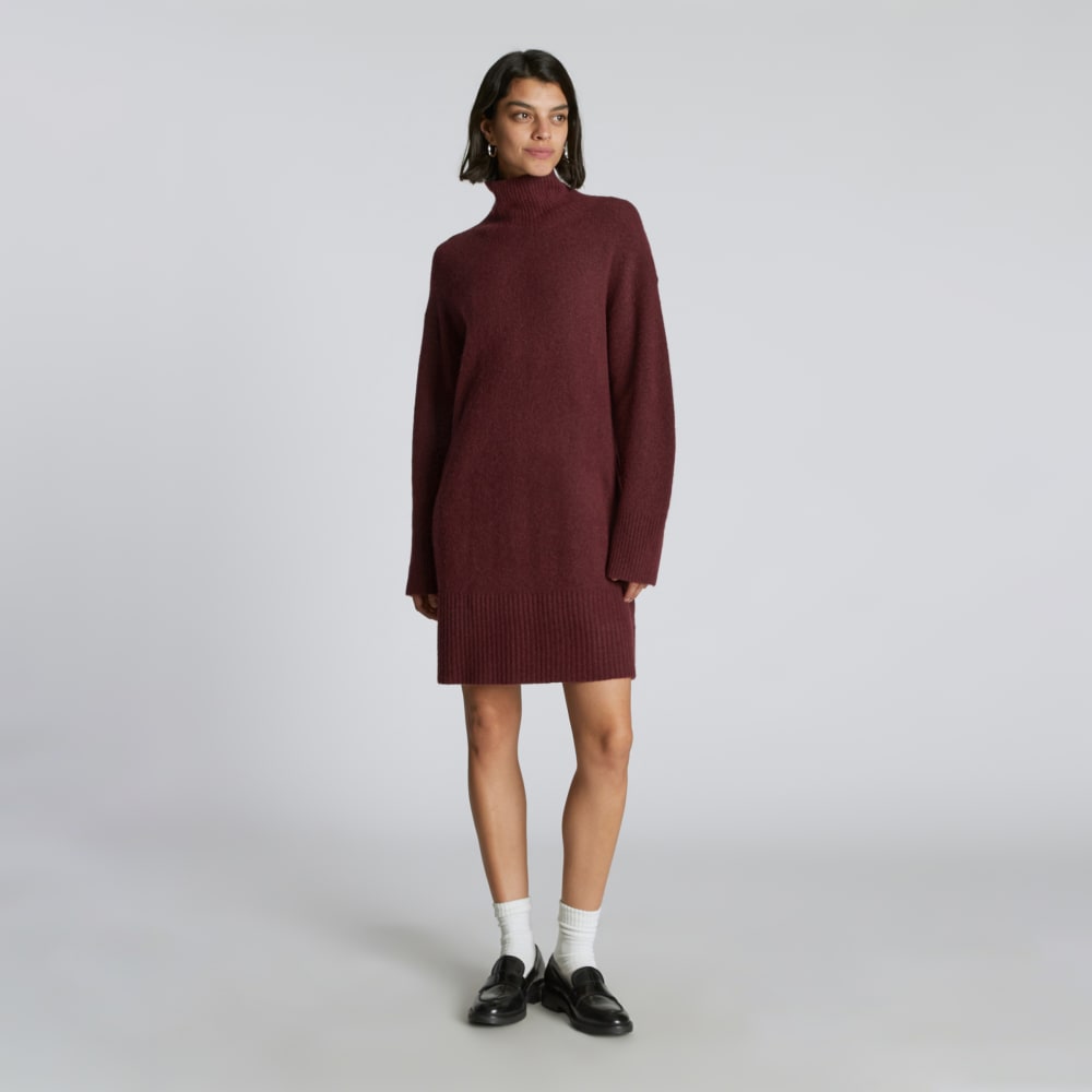 The Cozy Stretch Turtleneck Dress | Brandy