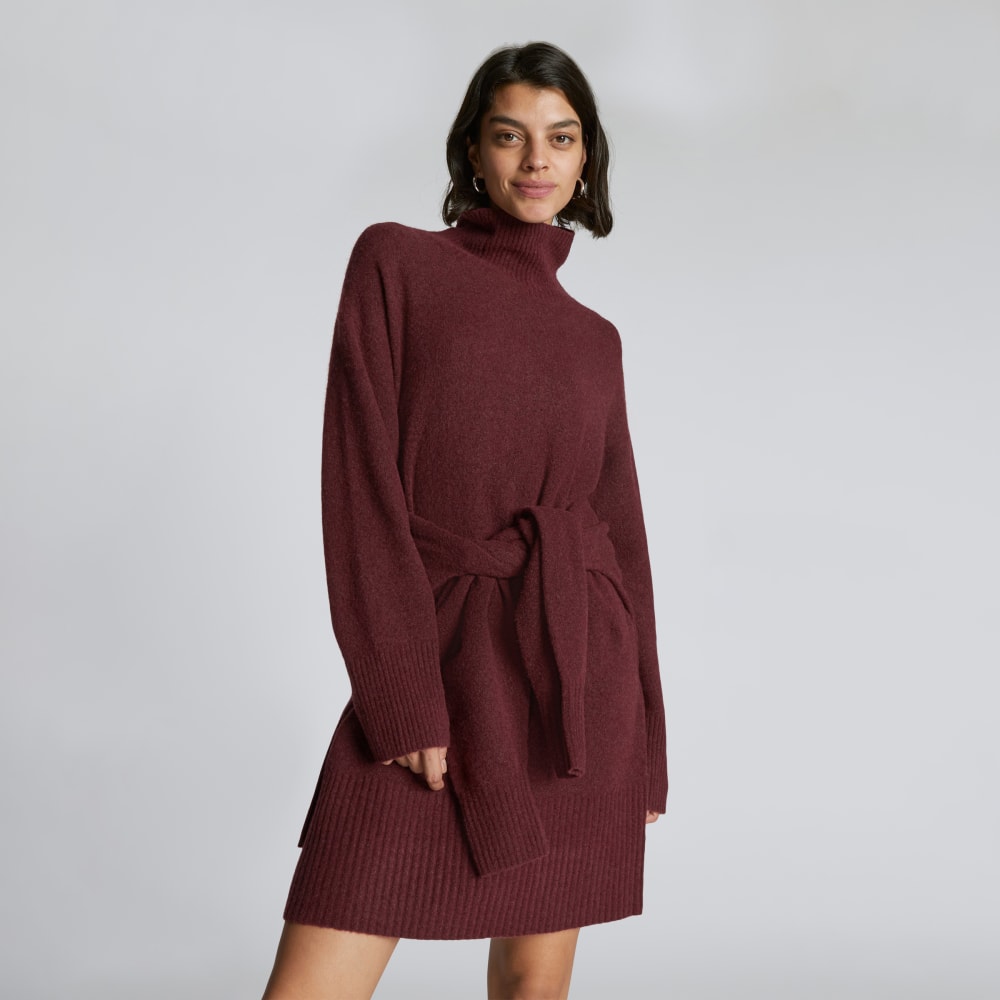 The Cozy Stretch Turtleneck Dress | Brandy