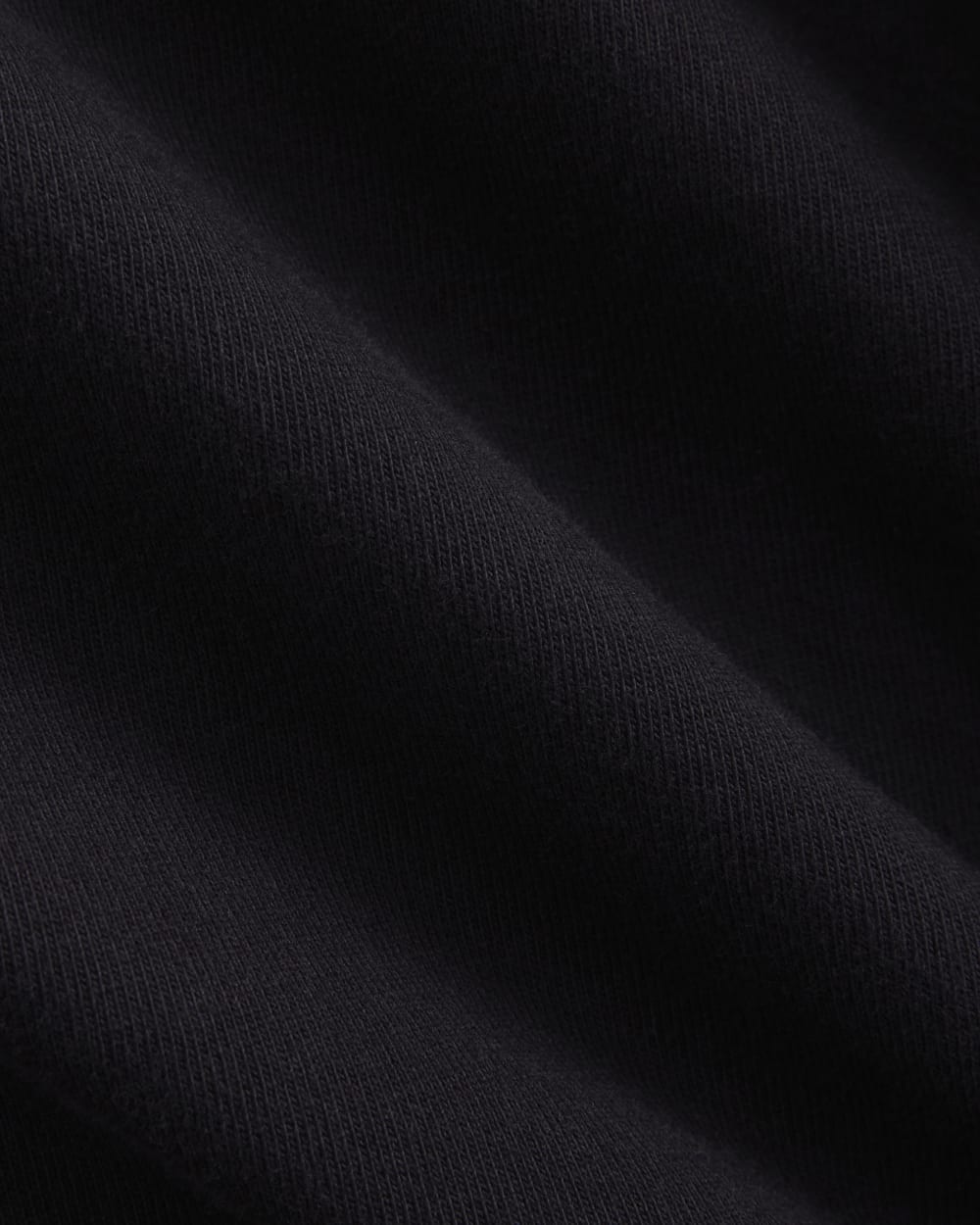 Everlane x Elena Bonvicini 73 Tee | Closing Time