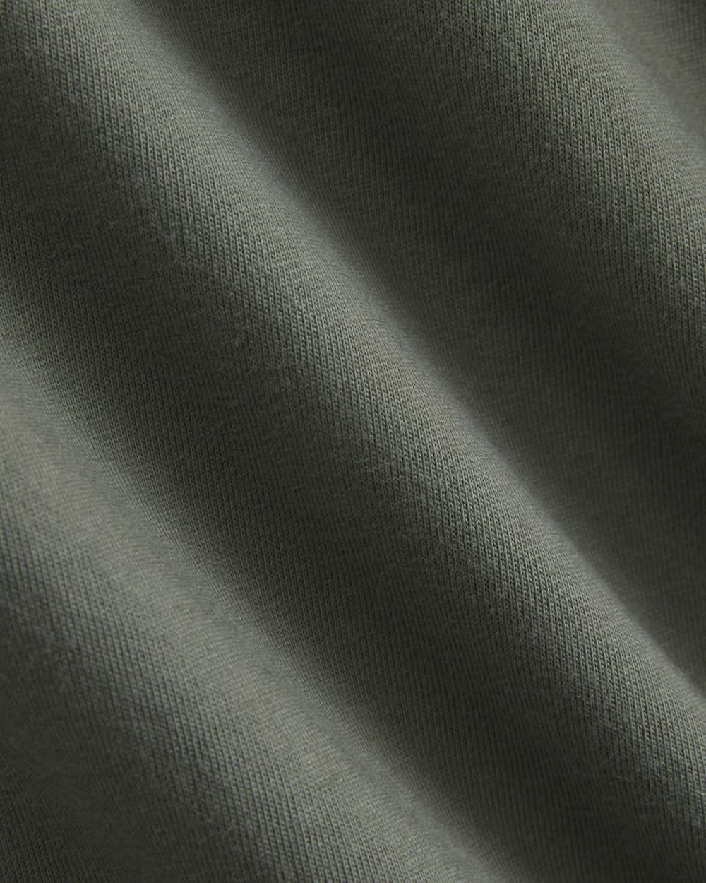 Archive Standard-Fit Cotton Crew | Agave Green