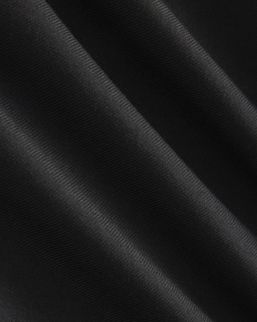 Pleated Trouser in Tailor Twill |  Black