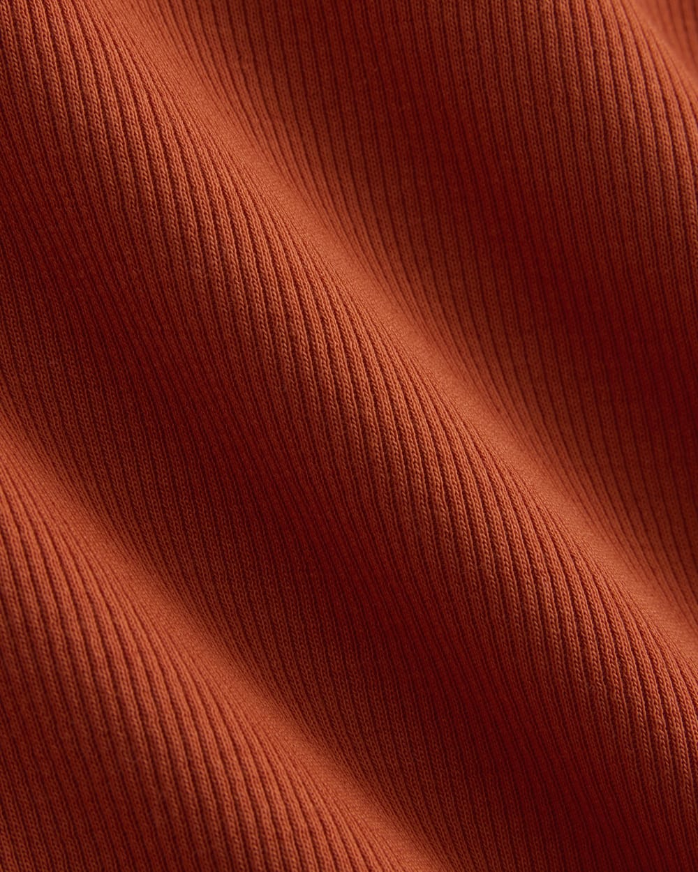 The Luxe Rib Long-Sleeve Crew | Rust