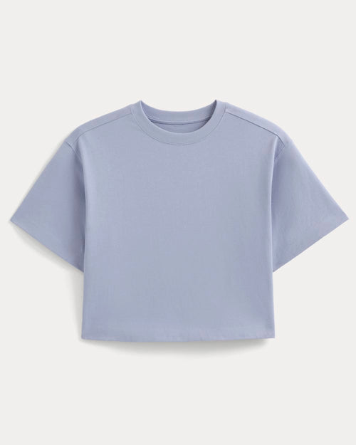 Forever Jersey Cropped Tee | Aleutian